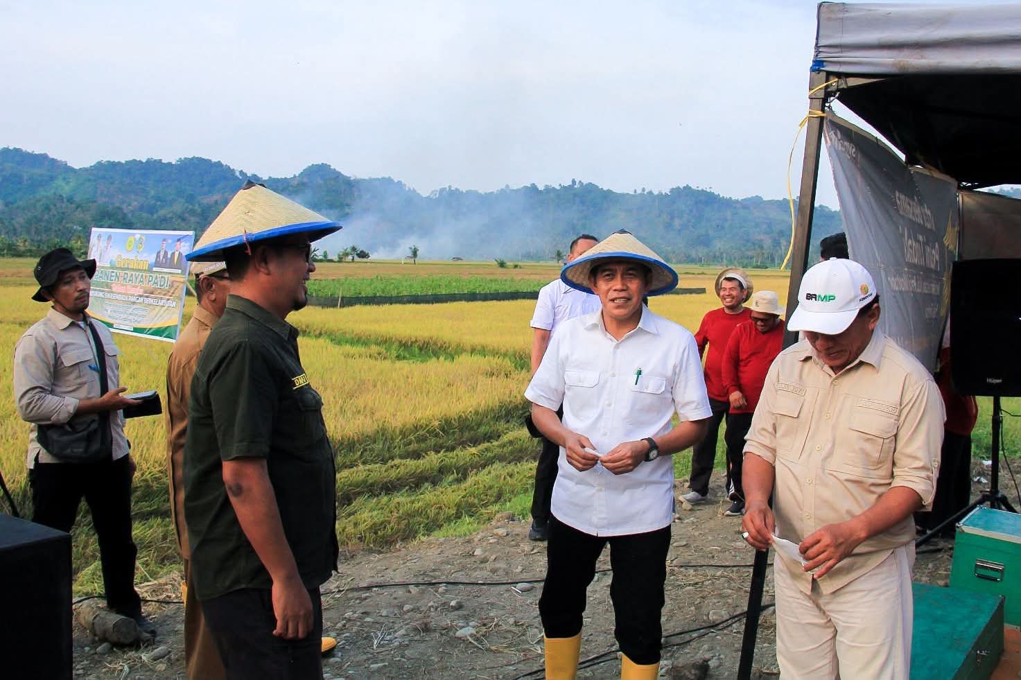 Pemkab Parigi Moutong Perkuat Swasembada Pangan melalui Panen Raya dan Bantuan Benih