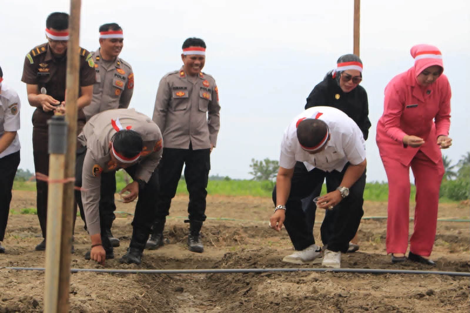 Wabup Bersama Kapolres Parigi Moutong Tanam Bawang Putih Serentak, Dukung Percepatan Swasembada Nasional